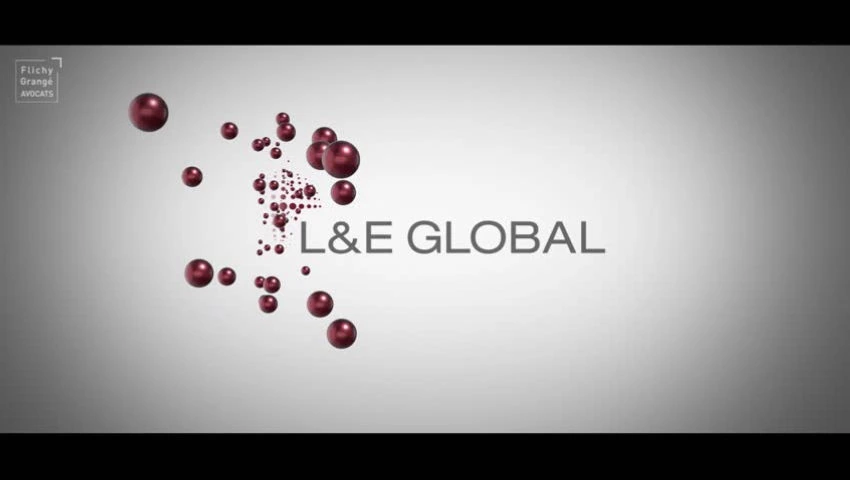 Image du film Flichy Grangé en chiffres, réalisé en 2016 : une composition graphique autour de L&E Global
